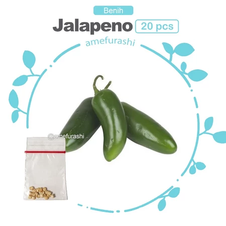 Benih Biji Cabe Pedas Hot Jalapeno Pepper